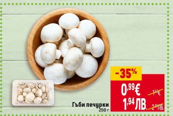 Гъби печурки