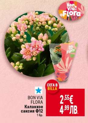 BON VIA FLORA