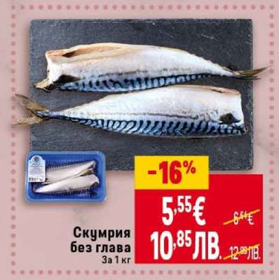 Скумрия без глава