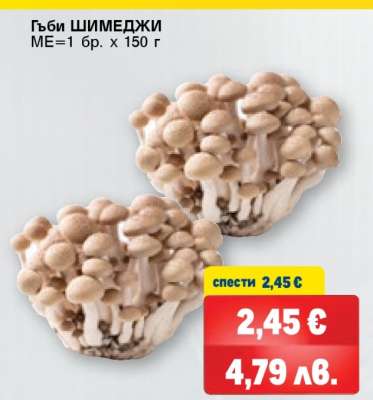 Гъби ШИМЕДЖИ