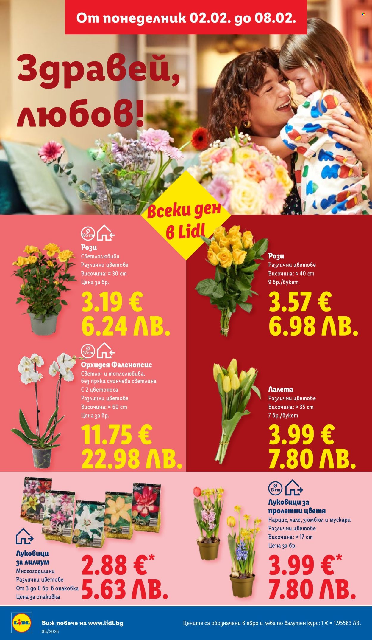 Брошура на Лидл - 02.02.2026 - 08.02.2026. Страница 48