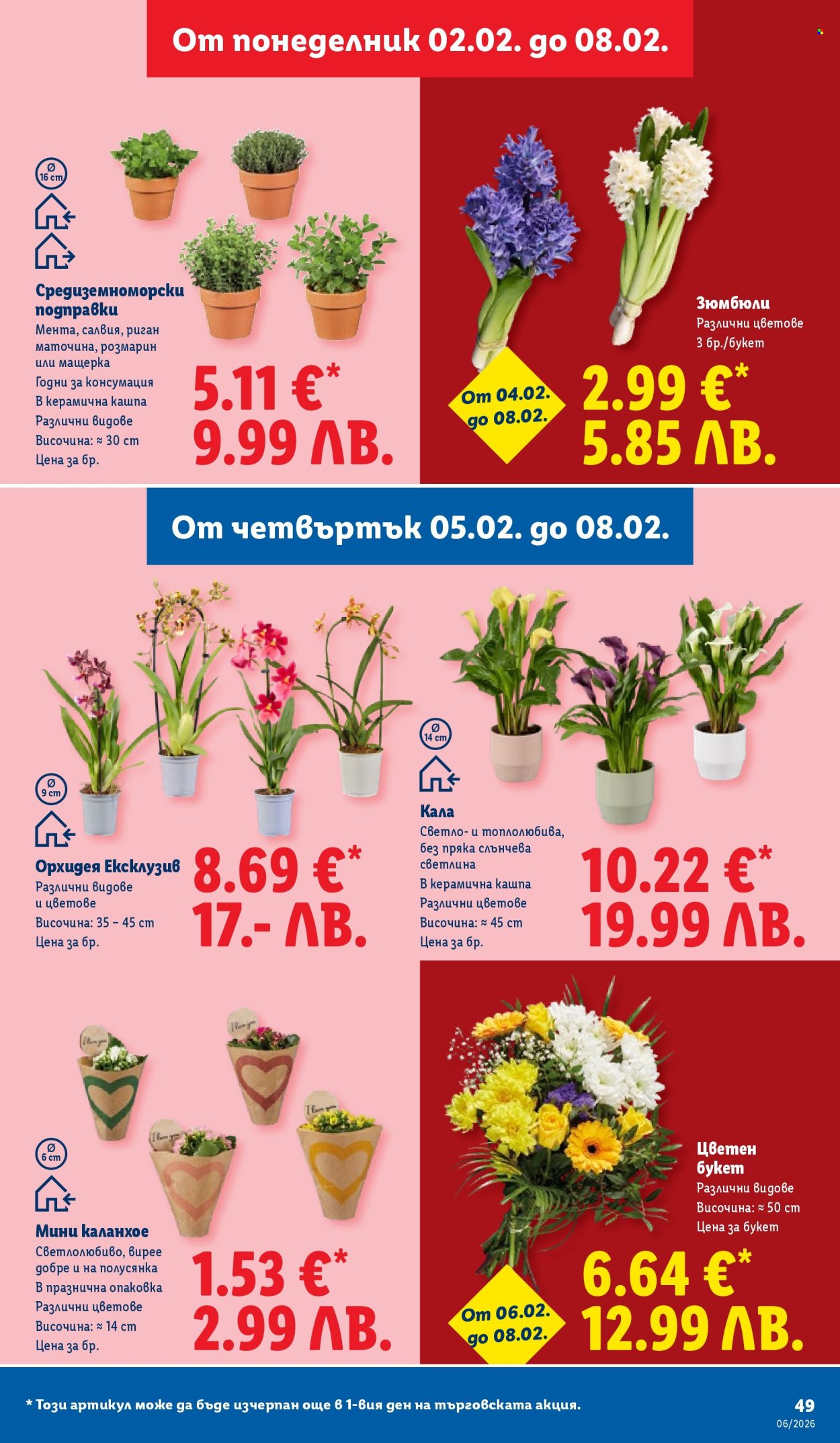 Брошура на Лидл - 02.02.2026 - 08.02.2026. Страница 49