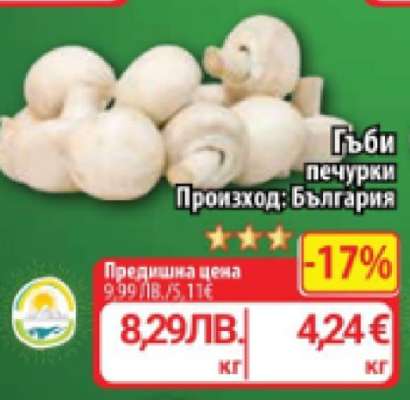 Гъби печурки