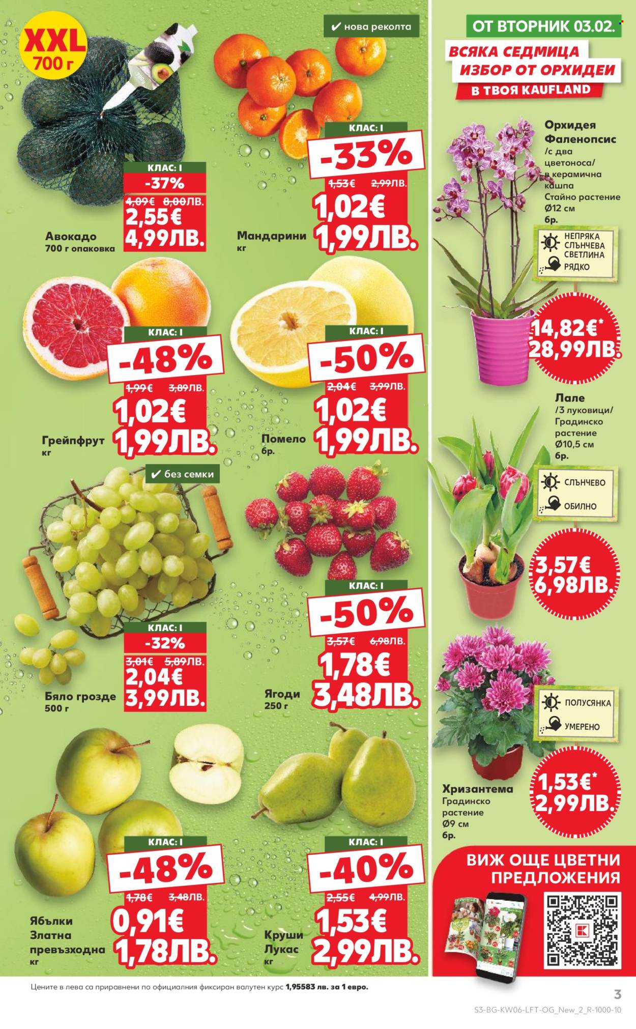Брошура на Кауфланд - 02.02.2026 - 08.02.2026. Страница 3