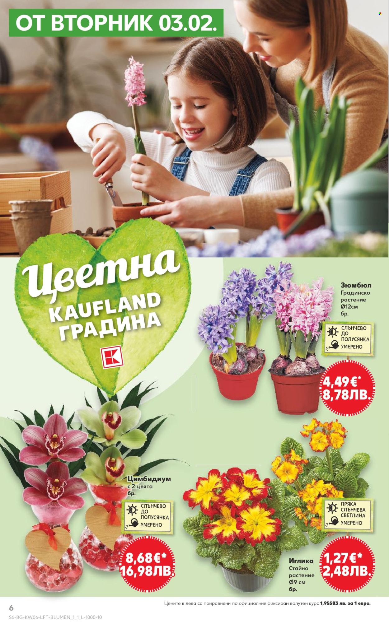 Брошура на Кауфланд - 02.02.2026 - 08.02.2026. Страница 6
