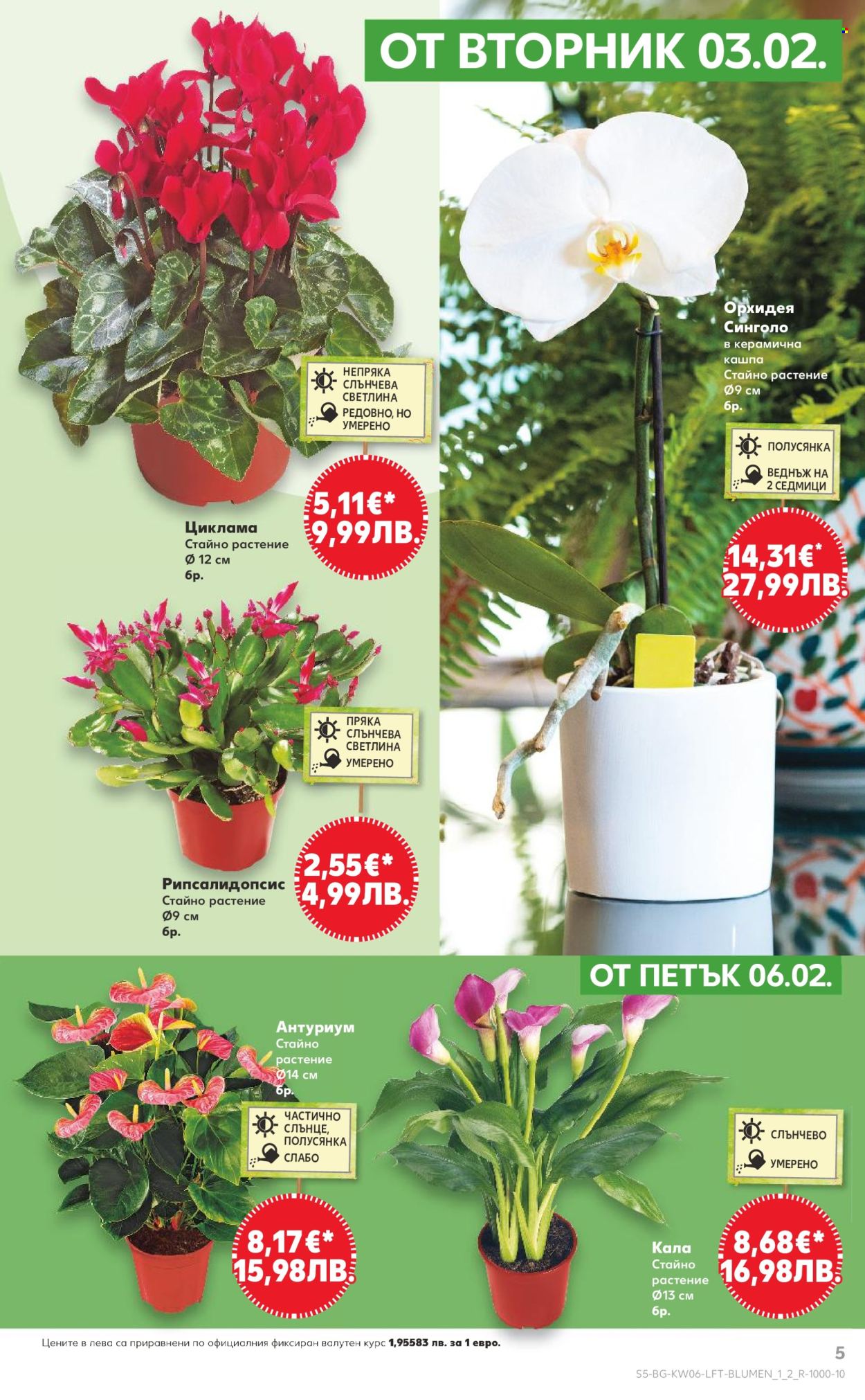 Брошура на Кауфланд - 02.02.2026 - 08.02.2026. Страница 5