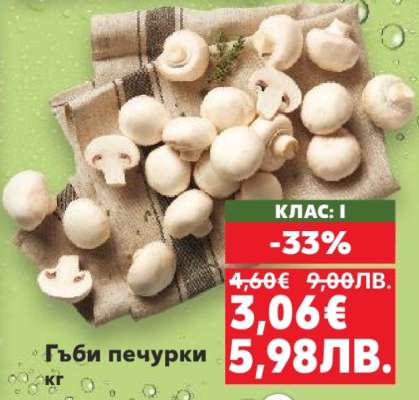 Гъби печурки