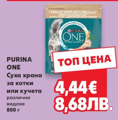 PURINA ONE