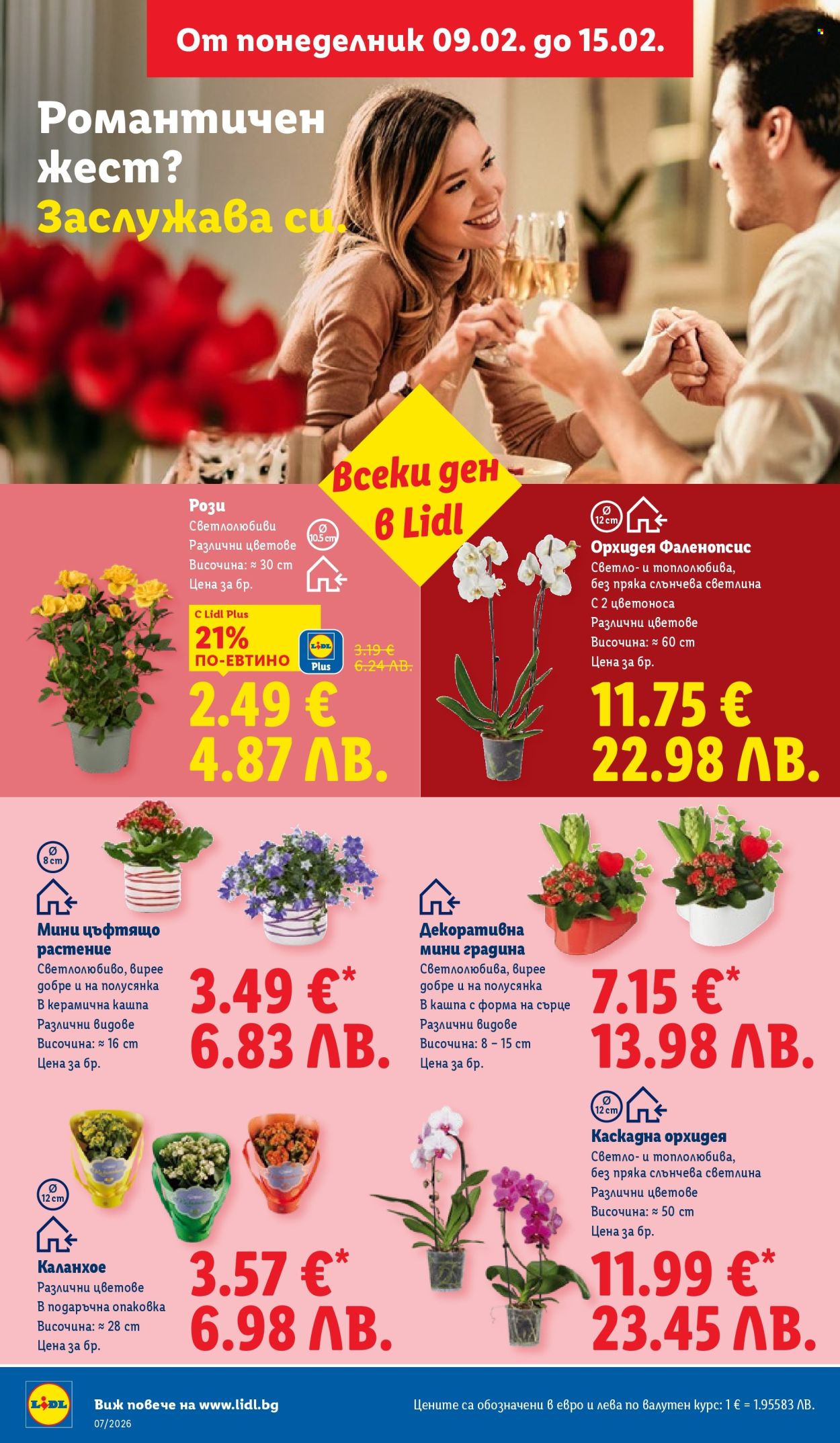 Брошура на Лидл - 09.02.2026 - 15.02.2026. Страница 54