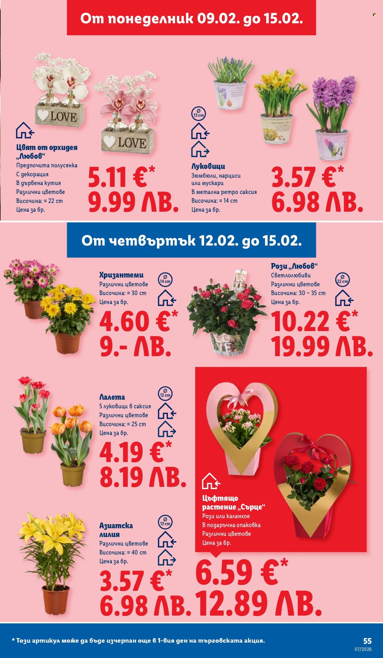 Брошура на Лидл - 09.02.2026 - 15.02.2026. Страница 55