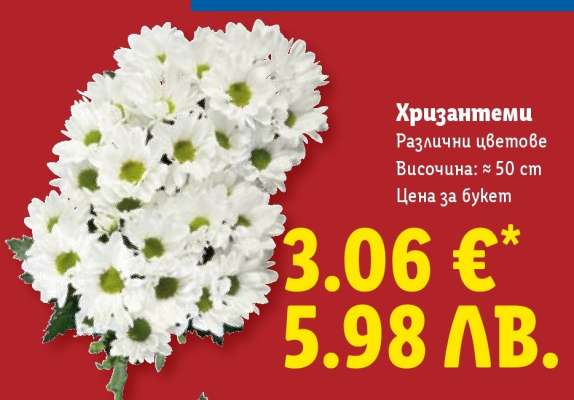 Хризантеми