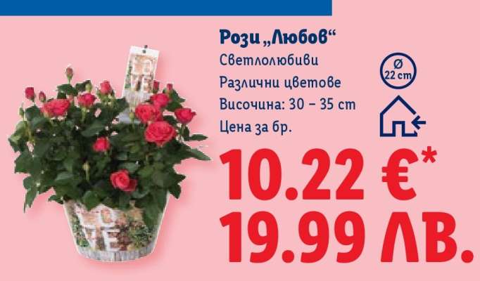 Рози „Любов“