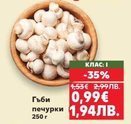 Гъби печурки