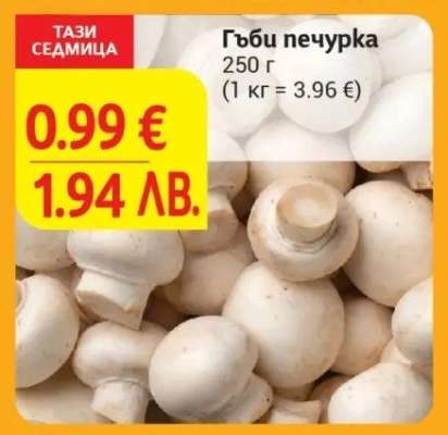 Гъби печурка