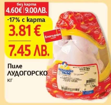 Пиле Лудогорско