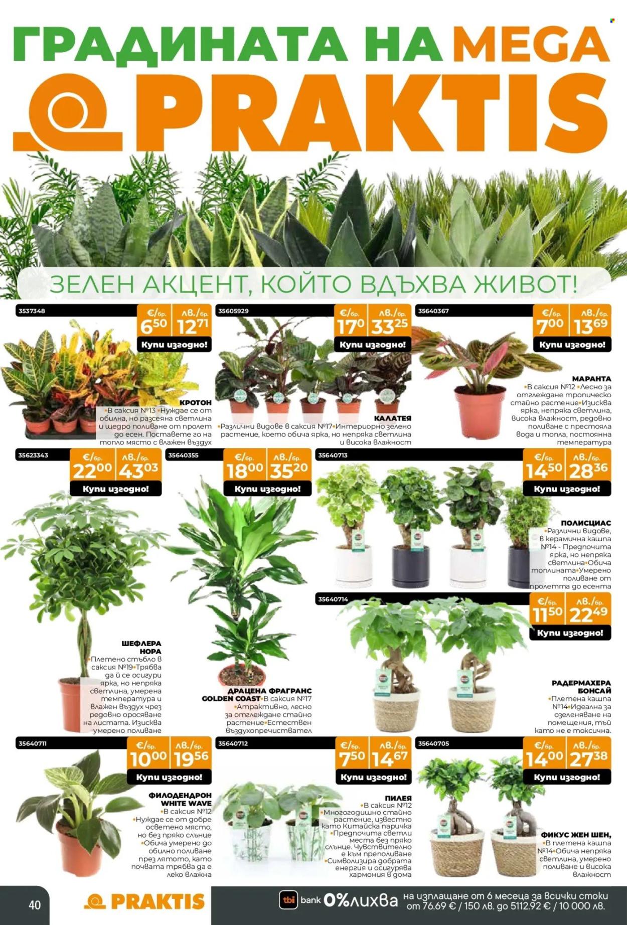 Брошура на Практис - 09.02.2026 - 08.03.2026. Страница 40