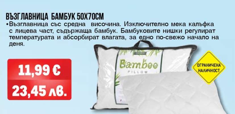 ВЪЗГЛАВНИЦА БАМБУК 50Х70СМ