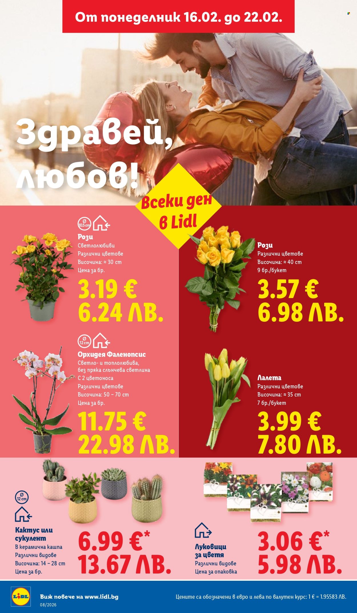 Брошура на Лидл - 16.02.2026 - 22.02.2026. Страница 48