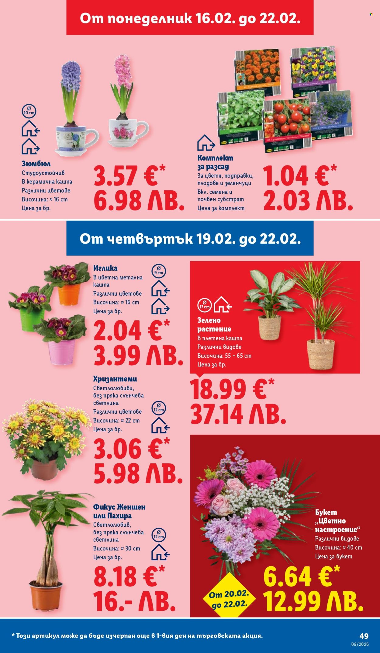 Брошура на Лидл - 16.02.2026 - 22.02.2026. Страница 49