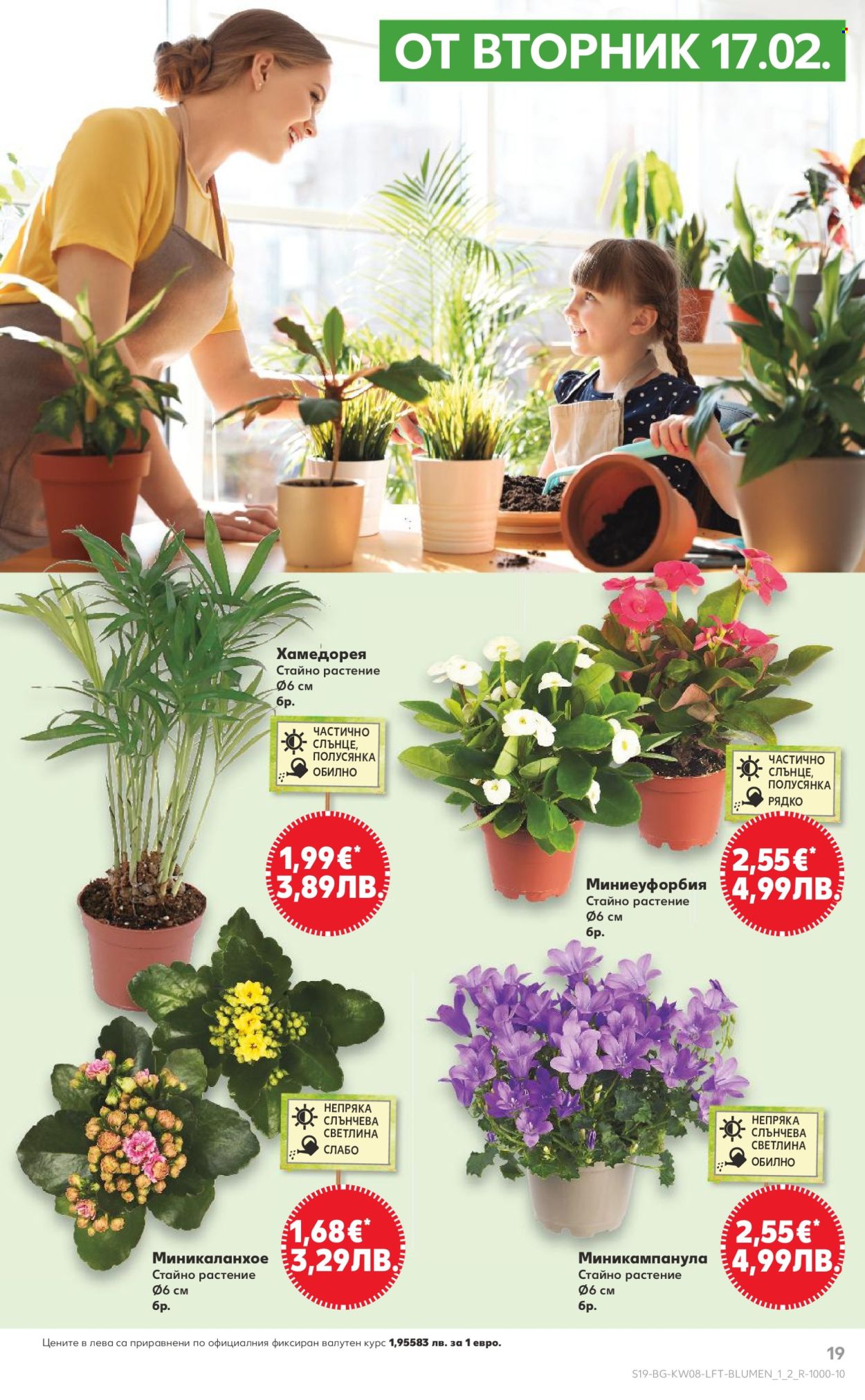 Брошура на Кауфланд - 16.02.2026 - 22.02.2026. Страница 19