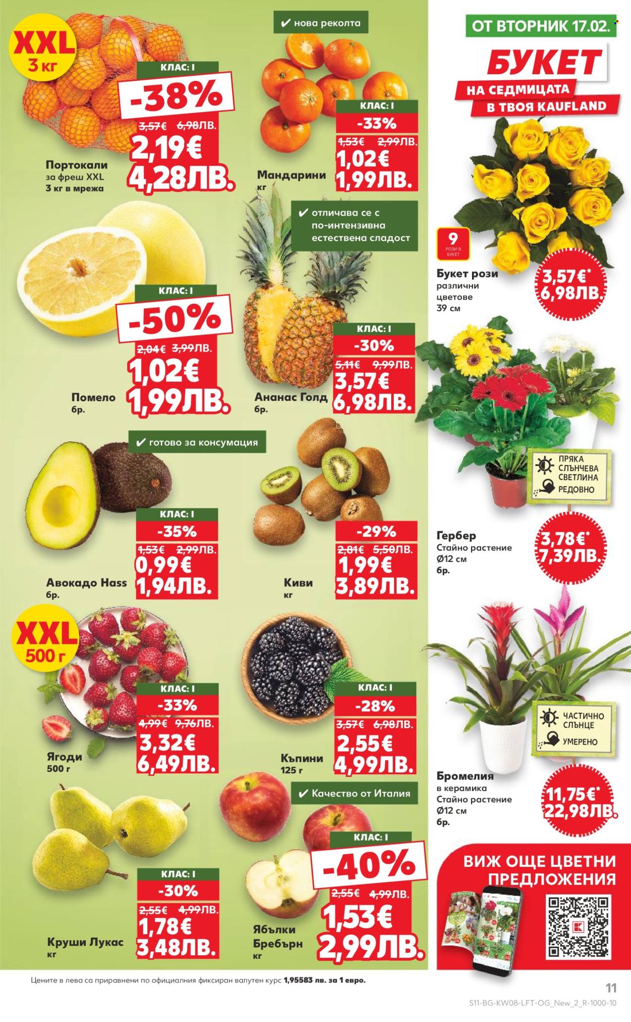 Брошура на Кауфланд - 16.02.2026 - 22.02.2026. Страница 11