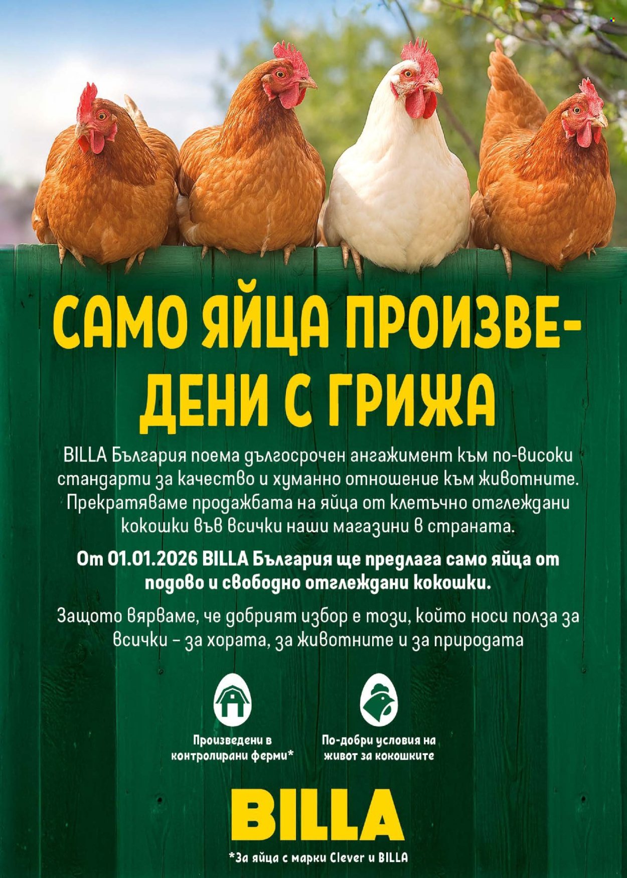 Брошура на BILLA - 19.02.2026 - 25.02.2026. Страница 9