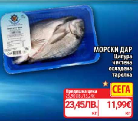 МОРСКИ ДАР Ципура