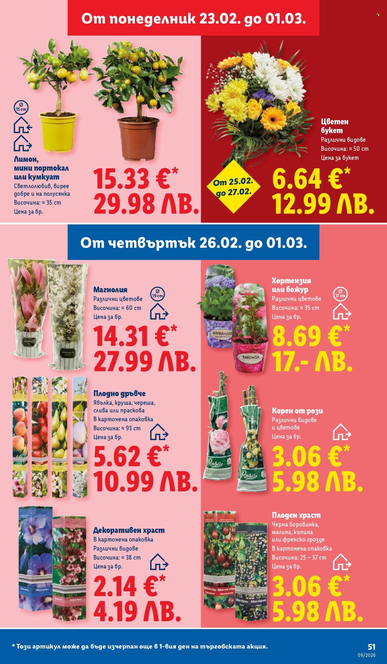 Брошура на Лидл - 23.02.2026 - 01.03.2026. Страница 51