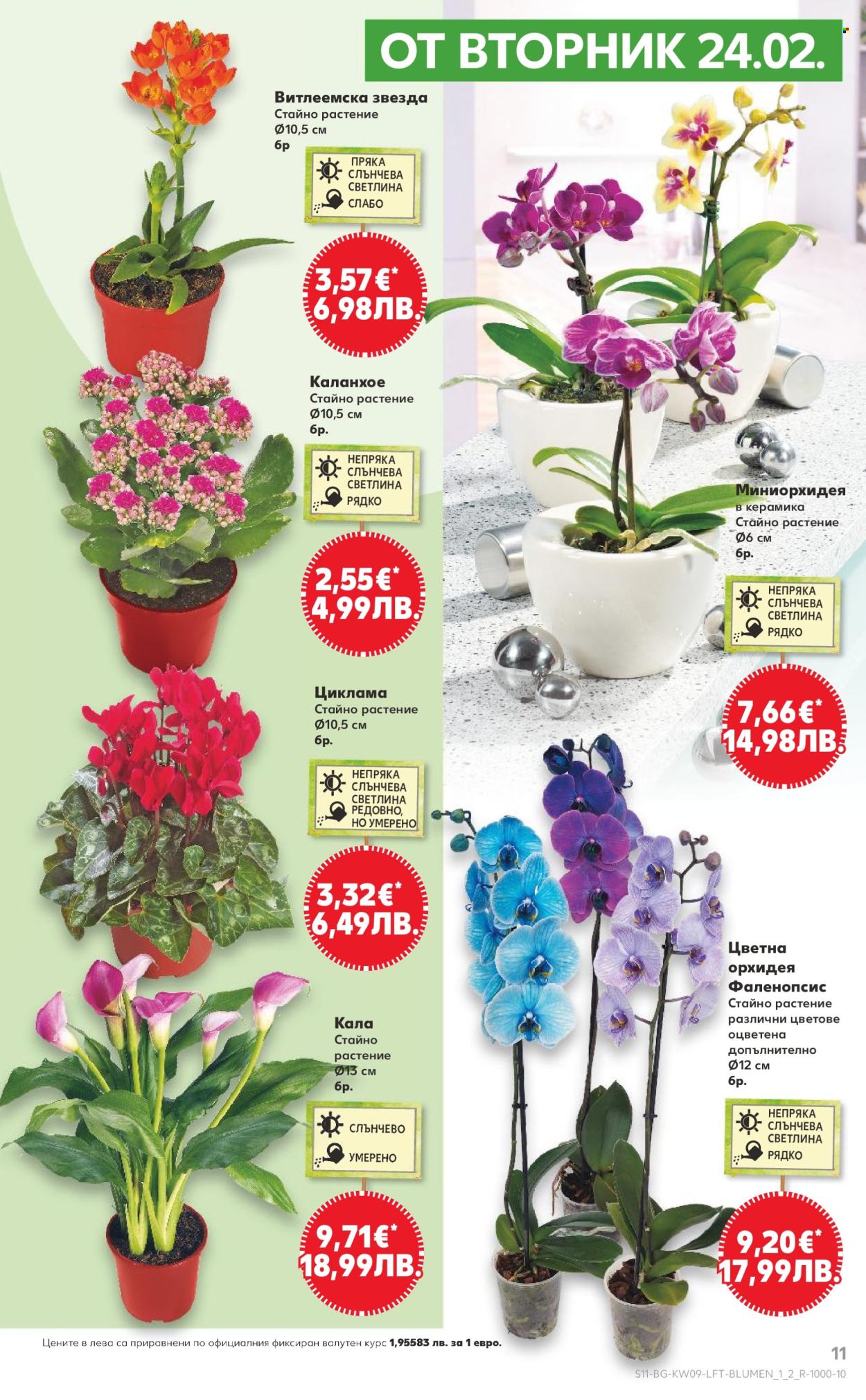 Брошура на Кауфланд - 23.02.2026 - 01.03.2026. Страница 11