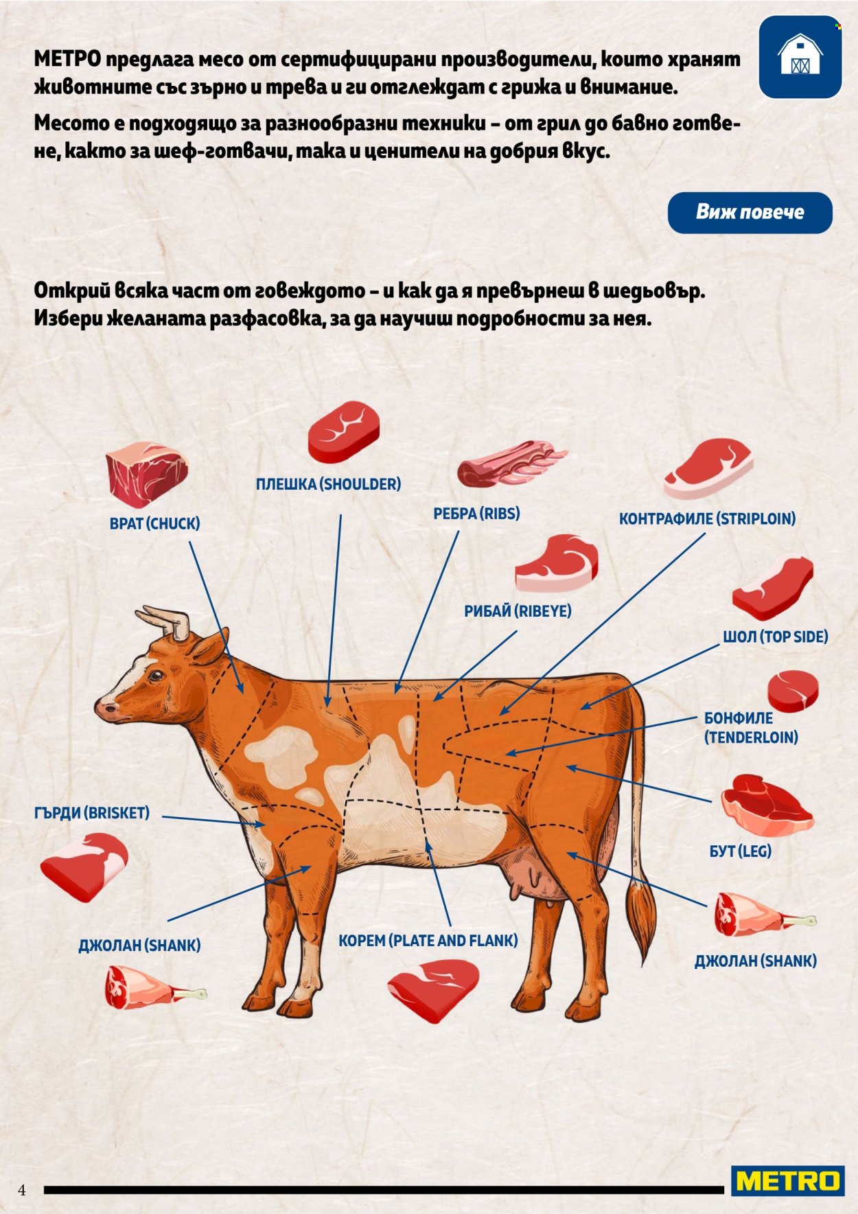 Брошура на МЕТРО. Страница 4