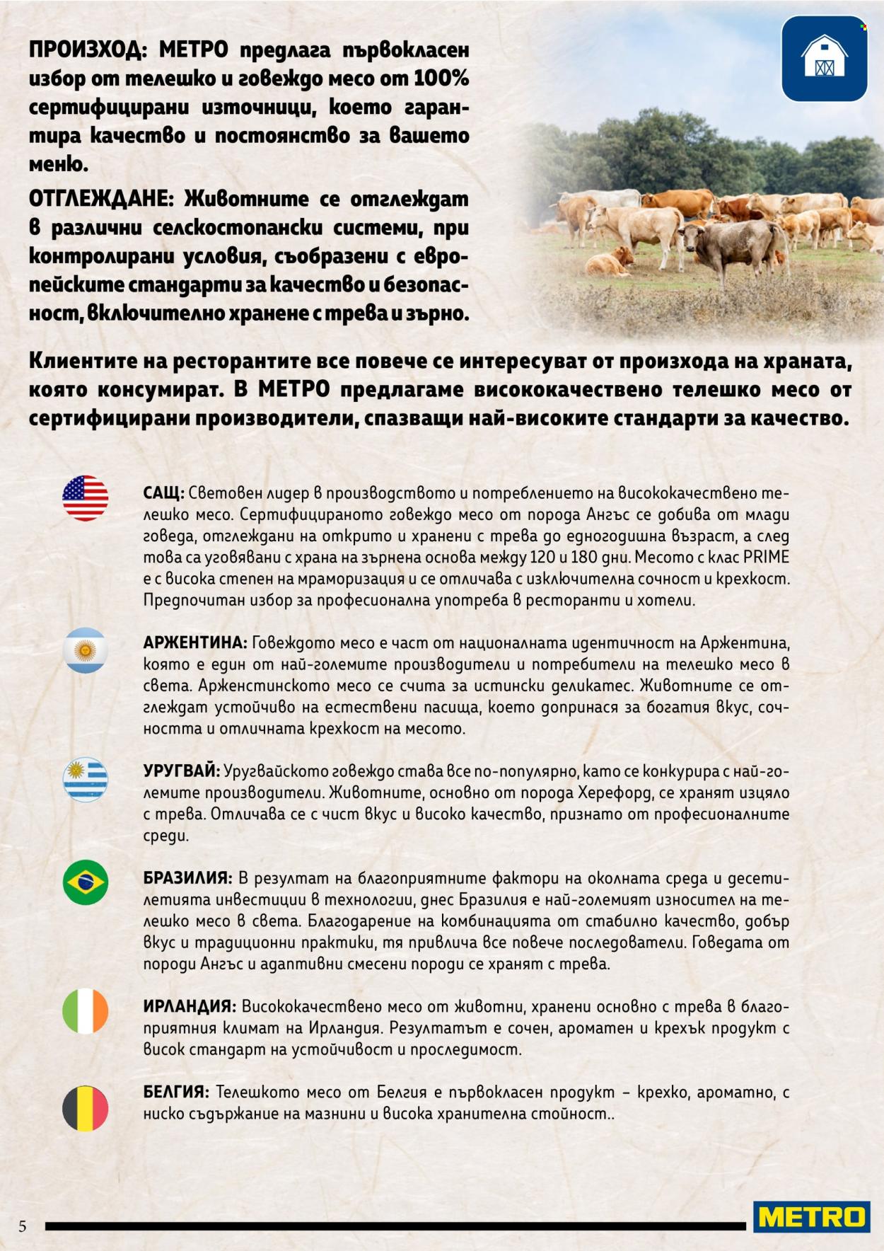 Брошура на МЕТРО. Страница 5