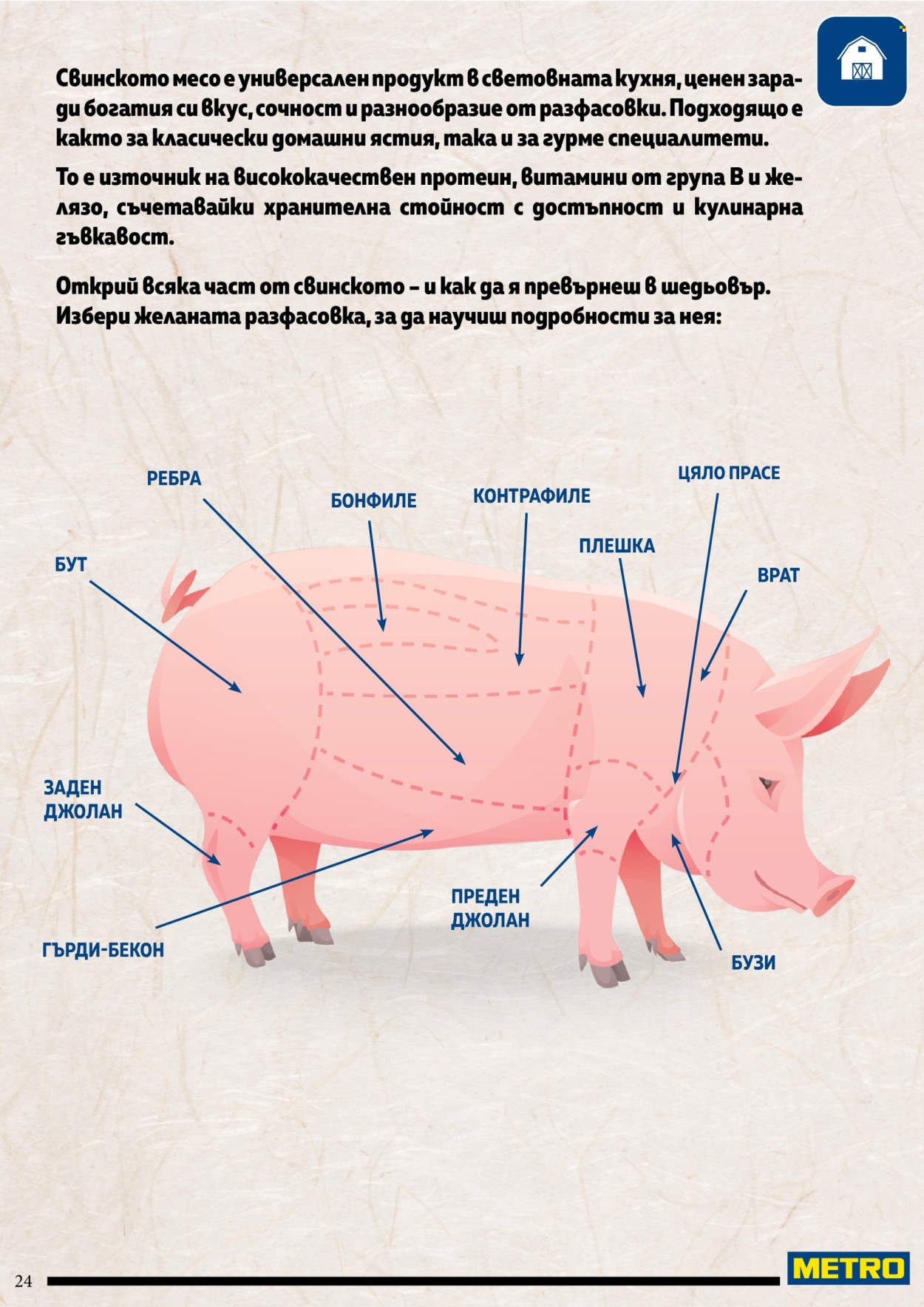 Брошура на МЕТРО. Страница 24