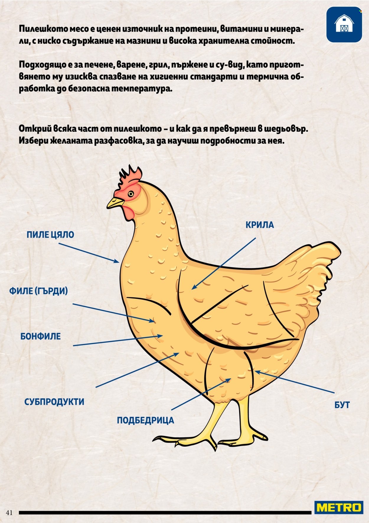 Брошура на МЕТРО. Страница 41