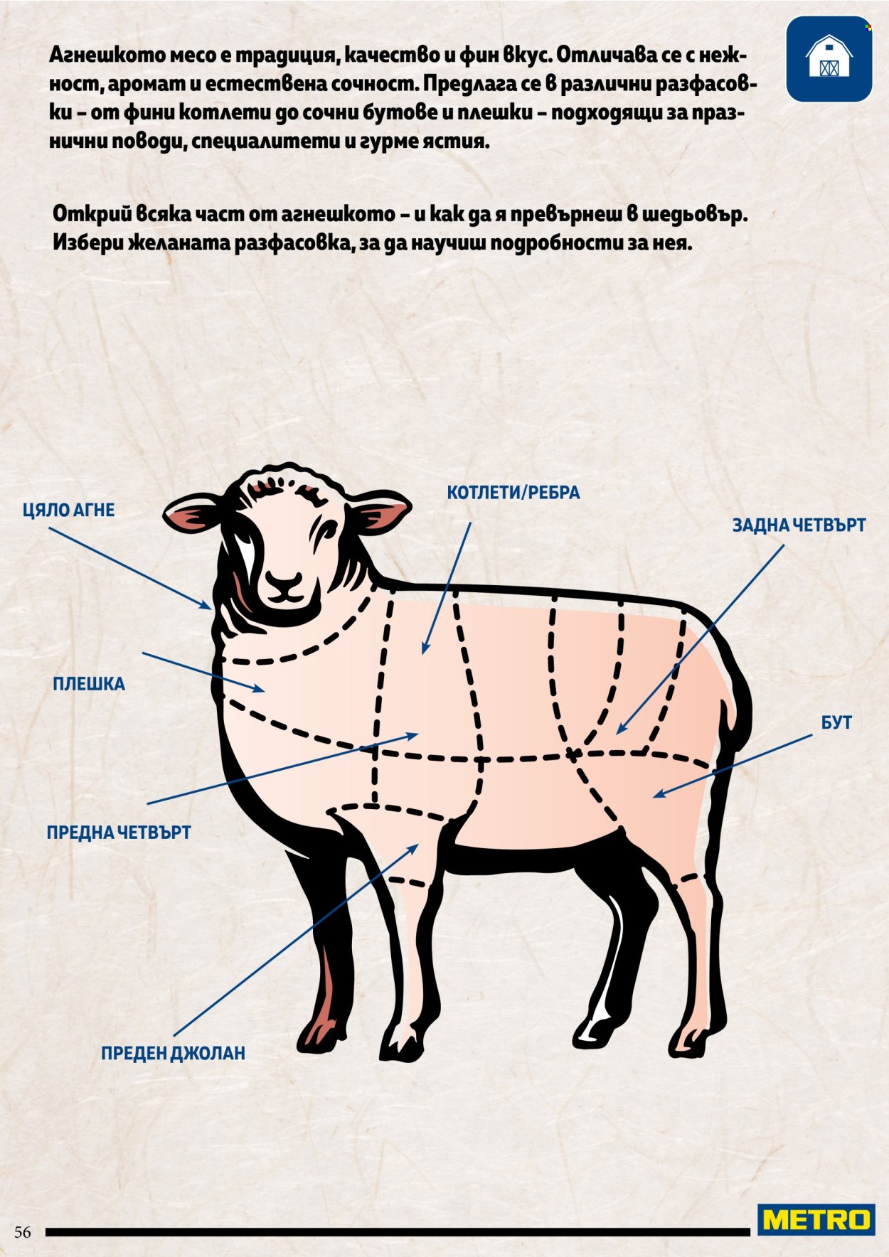 Брошура на МЕТРО. Страница 56