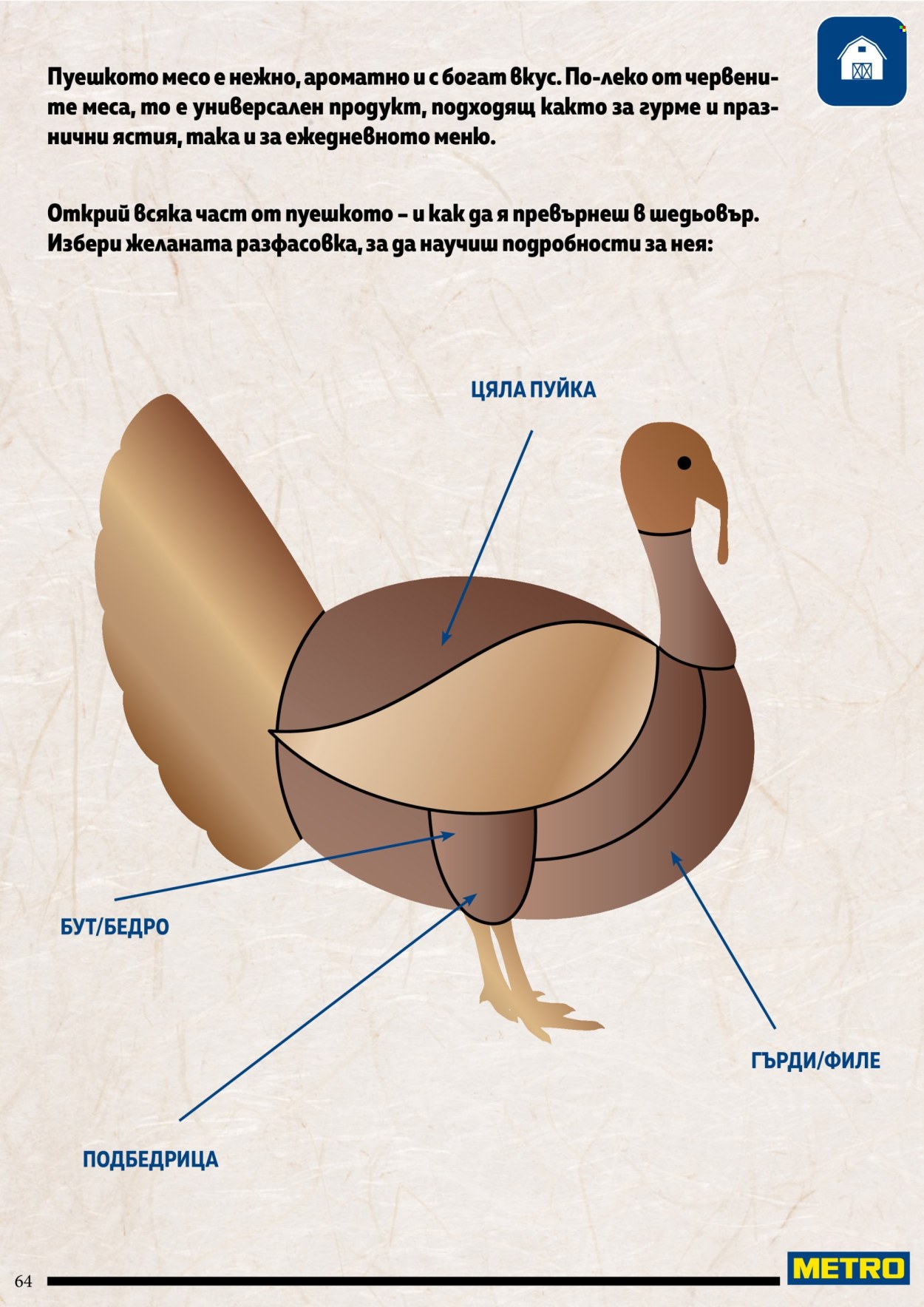 Брошура на МЕТРО. Страница 64