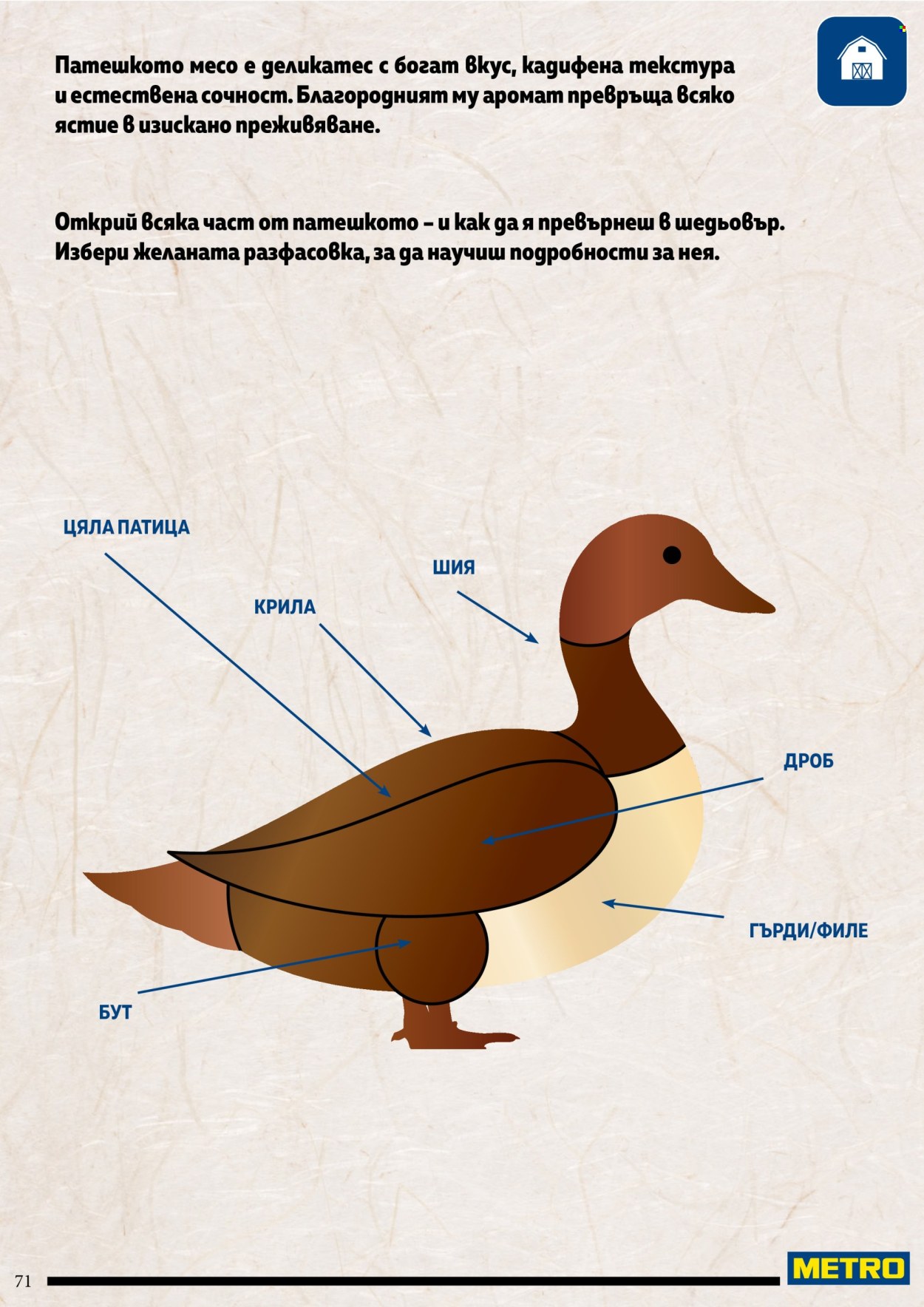 Брошура на МЕТРО. Страница 71