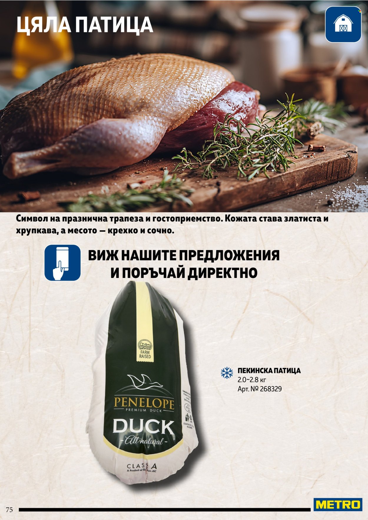 Брошура на МЕТРО. Страница 75