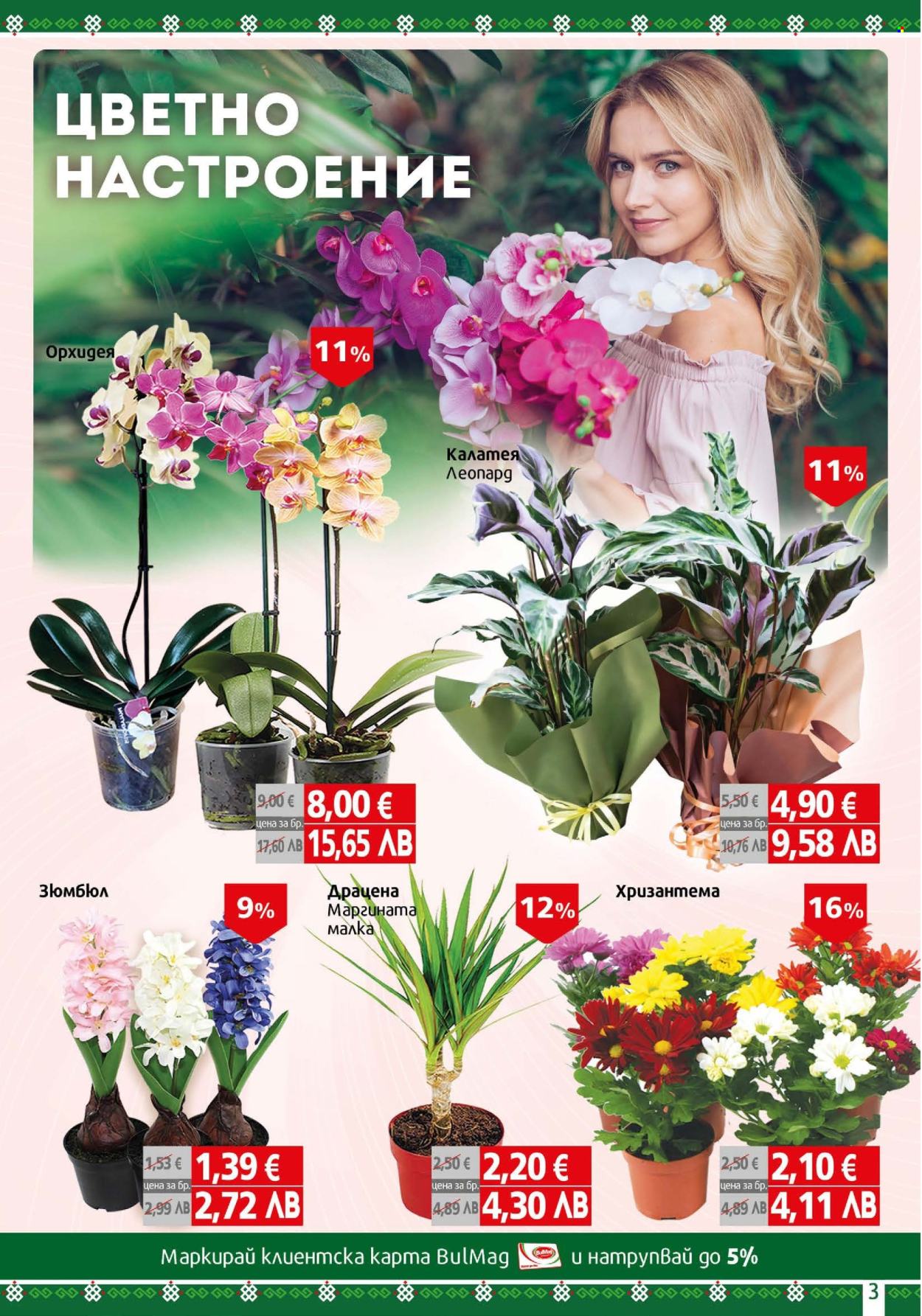 Брошура на BulMag - 23.02.2026 - 01.03.2026. Страница 3