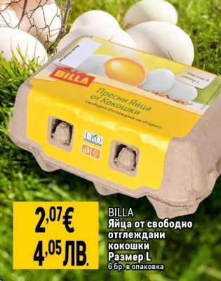 BILLA Яйца от свободно отглеждани кокошки