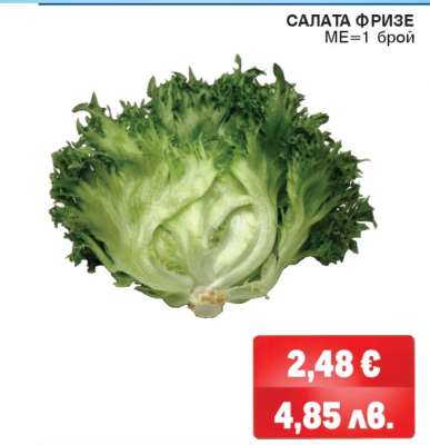 САЛАТА ФРИЗЕ