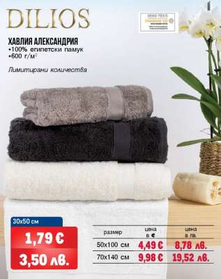 ХАВЛИЯ АЛЕКСАНДРИЯ