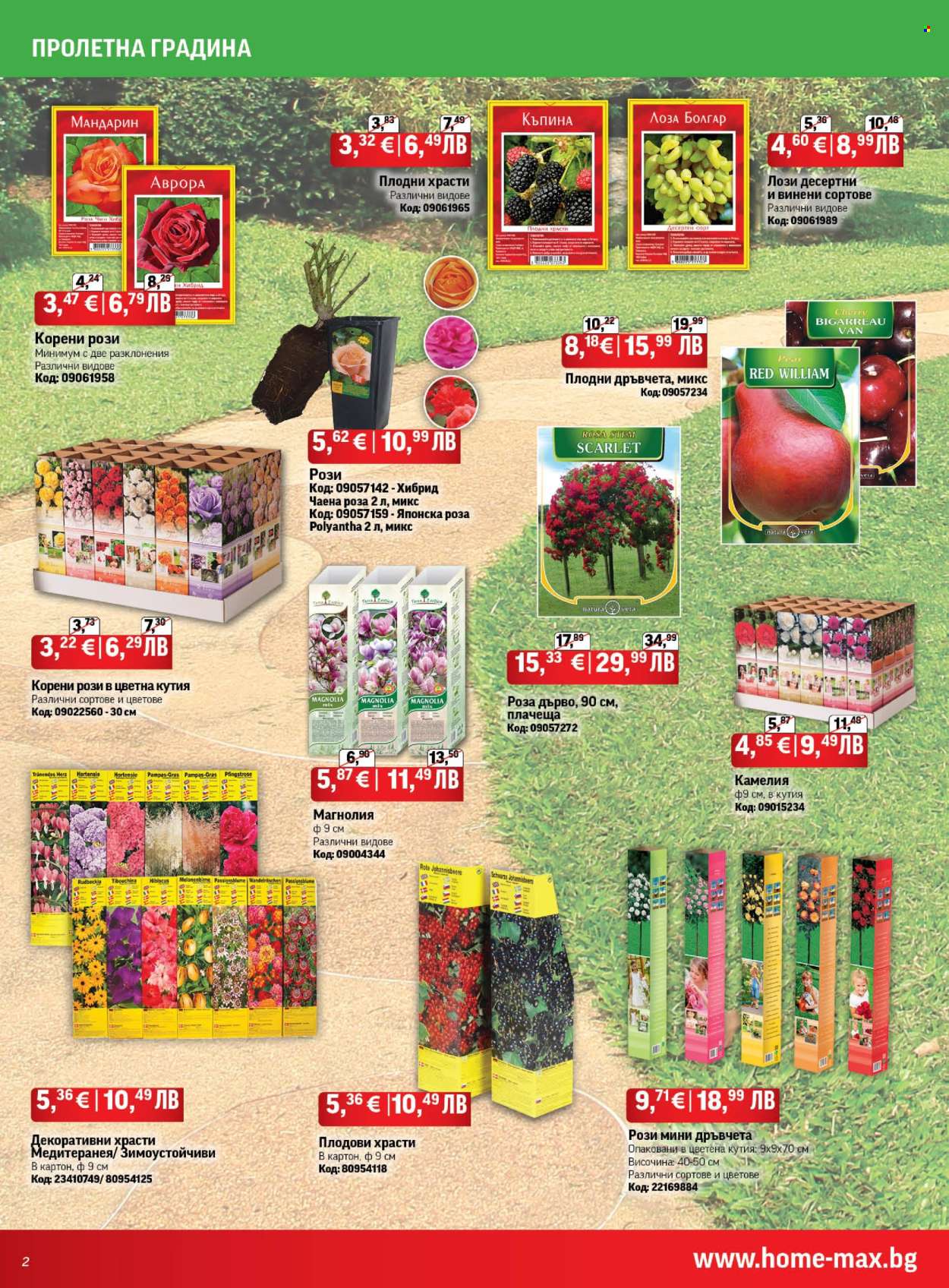 Брошура на HomeMax - 26.02.2026 - 24.03.2026. Страница 2