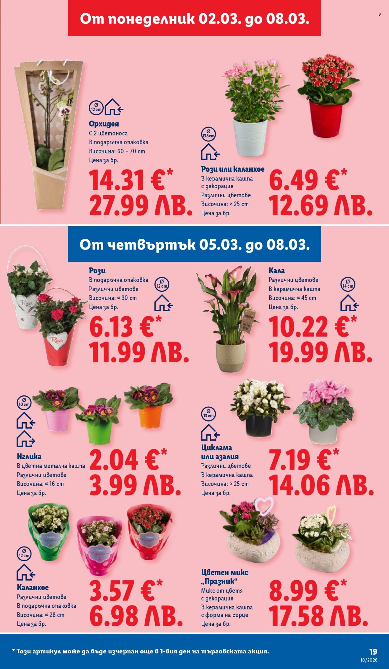 Брошура на Лидл - 02.03.2026 - 08.03.2026. Страница 19