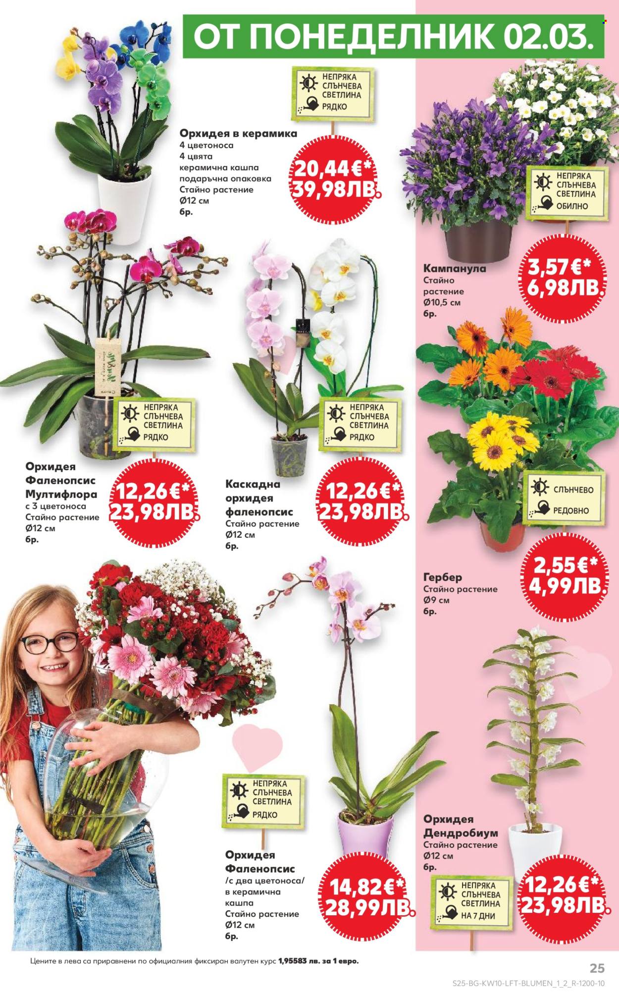 Брошура на Кауфланд - 02.03.2026 - 08.03.2026. Страница 25