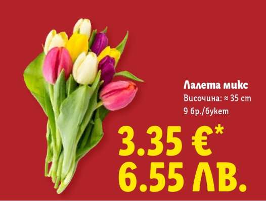 Лалета Микс