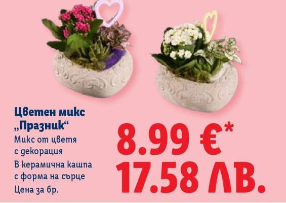 Цветен микс „Празник“