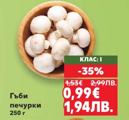 Гъби печурки