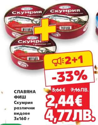 СЛАВЯНА ФИШ