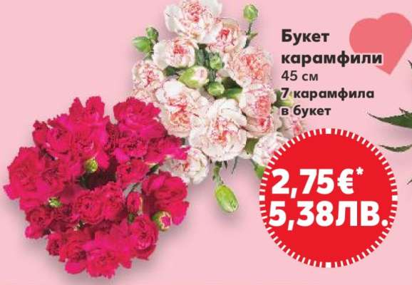 Букет карамфили