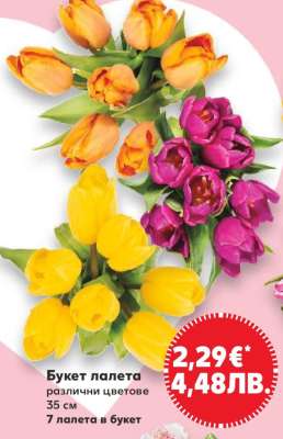 Букет Лалета